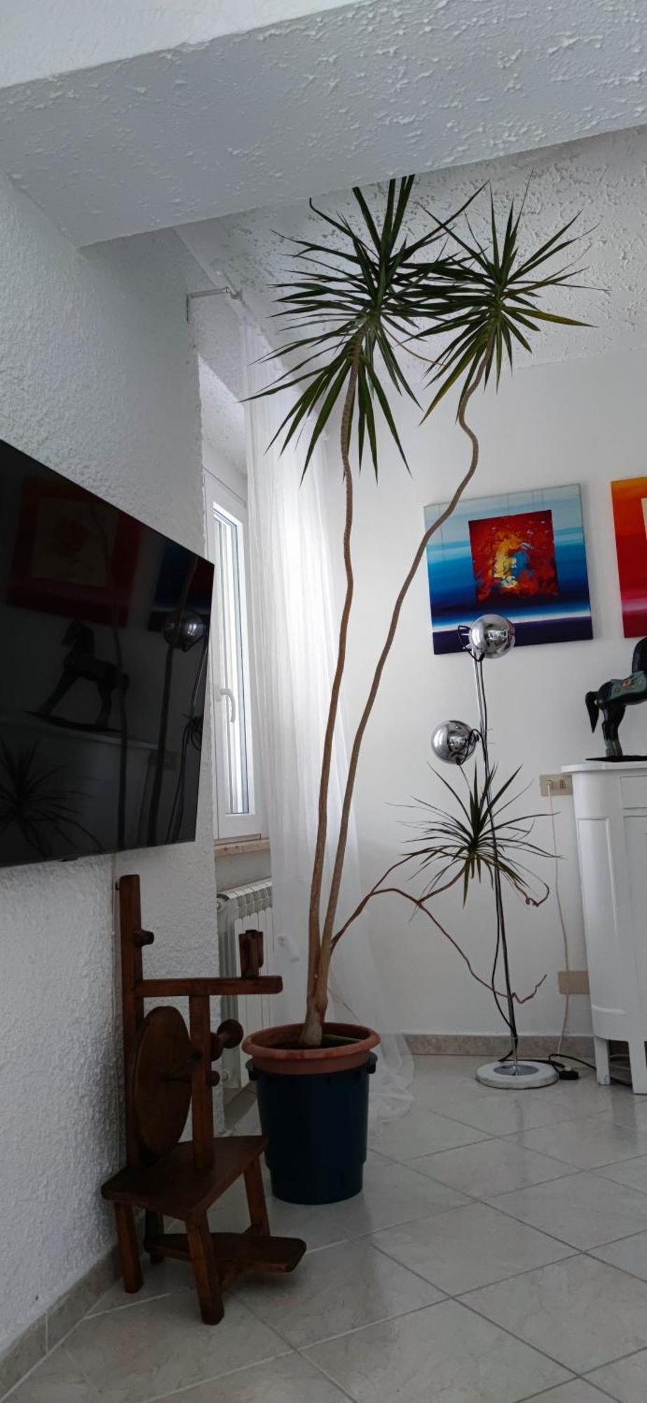 Residenza Bertolini Lejlighed Fosdinovo Eksteriør billede